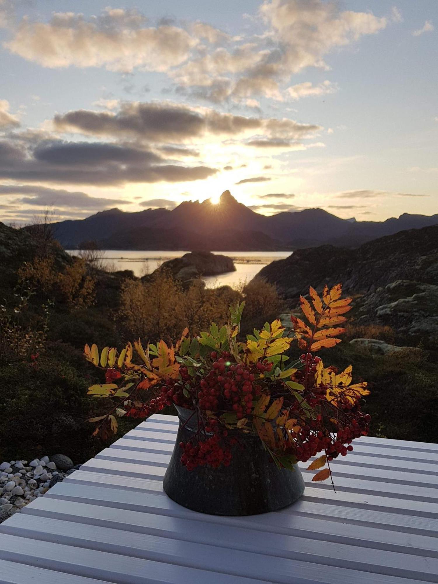 Unique Private Cabin In Lofoten Leknes Exterior foto